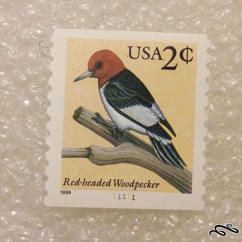 تمبر باارزش امریکا 2 سنت 1999 پرنده 2 طرف بیدندانه (92)8