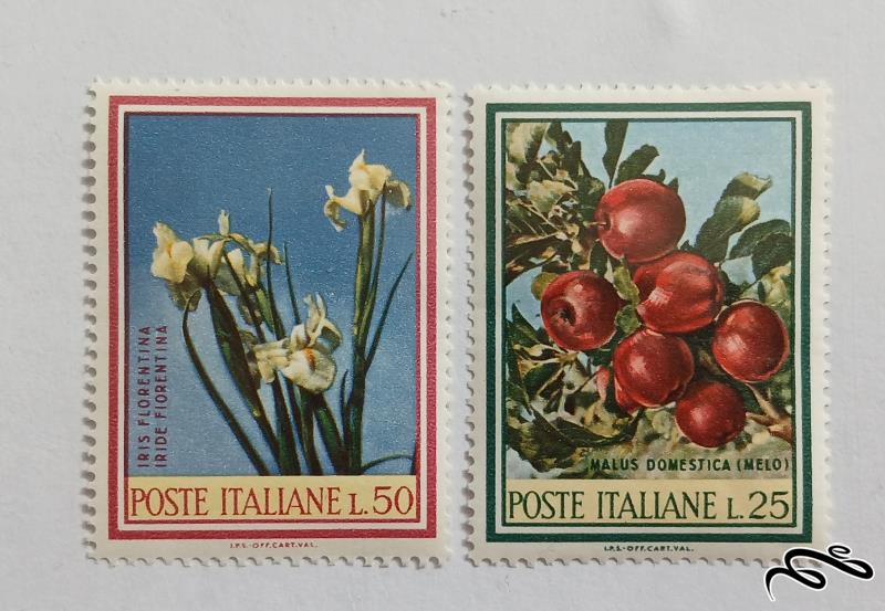 ایتالیا 1967 سری فلور (گل)
