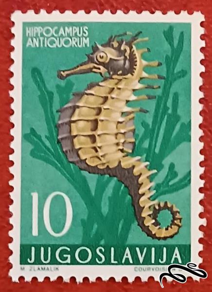 تمبر باارزش کمیاب یوگوسلاوی ۱۹۵۶ جانور دریایی (۹۲)۷