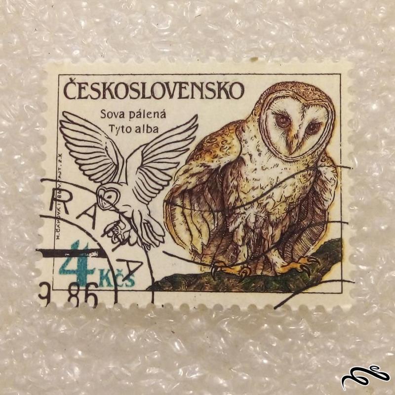تمبر چکسلواکی 1986 پرنده جغد مهر گمرکی چسبدار (92)6