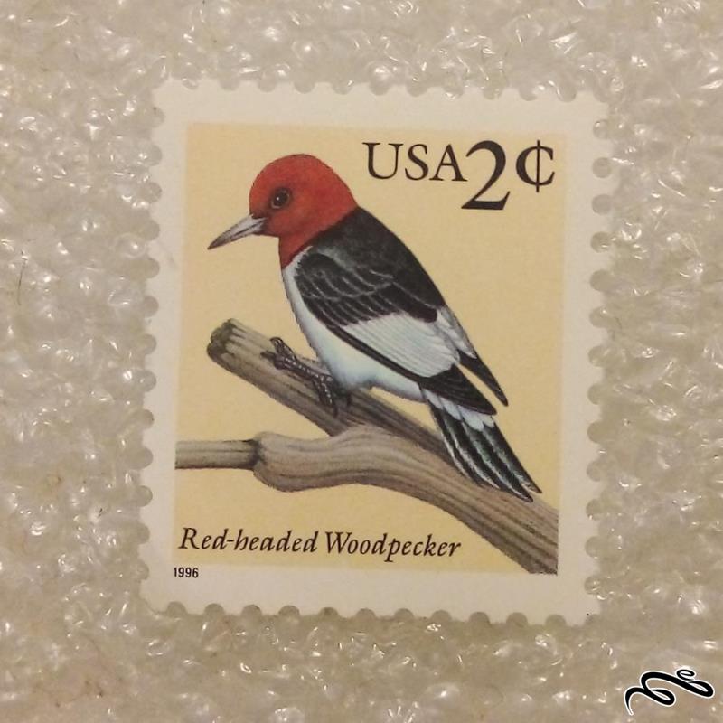 تمبر باارزش امریکا 2 سنت 1996 پرنده (92)8