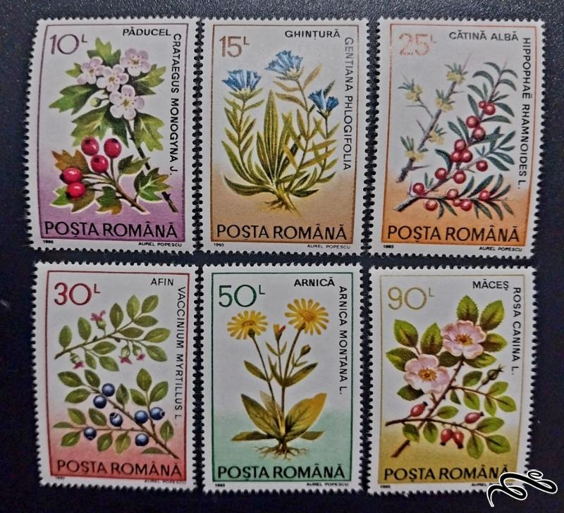 گیاهان دارویی  رومانی 1993